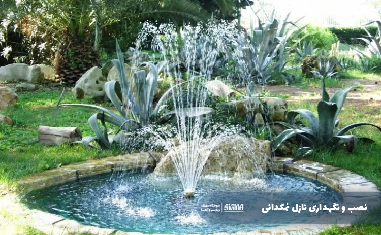 نصب و نگهداری نازل نمکدانی