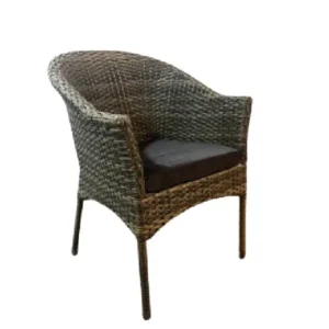 صندلی سناتور